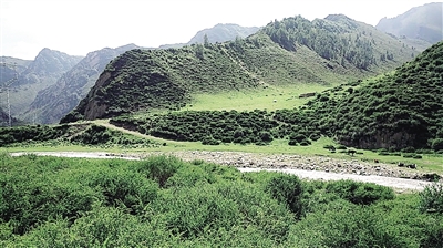 大通北川河源区国家级自然保护区内一景.